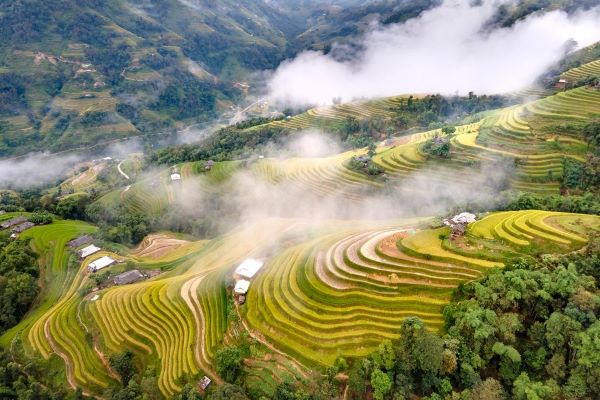 Ha Giang offers breathtaking beauty in every season discover the best time to explore its stunning landscapes and unique weather conditions
