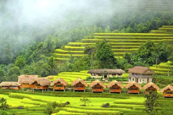 Explore the green fields in Hoang Su Phi