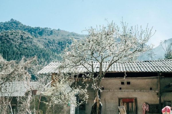 Winter in Pho Bang town